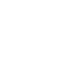 Page Loader Logo